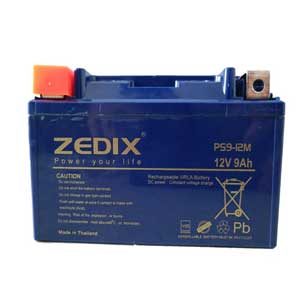 zedix-battery